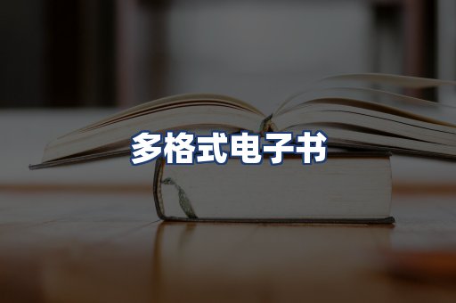 多格式电子书